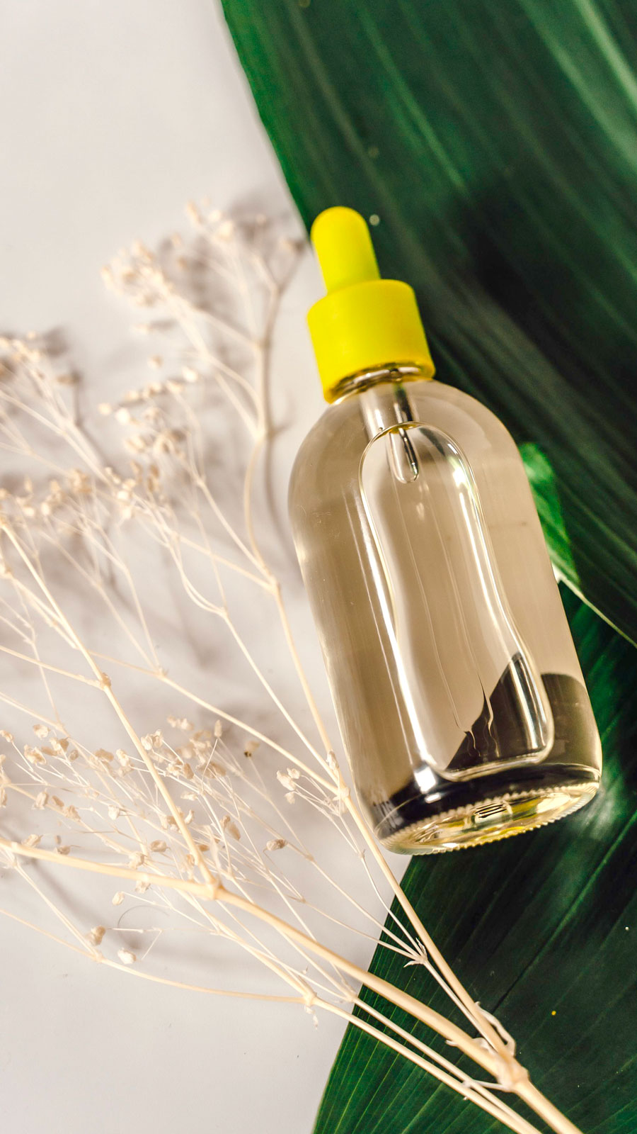 flacone olio su foglia verde